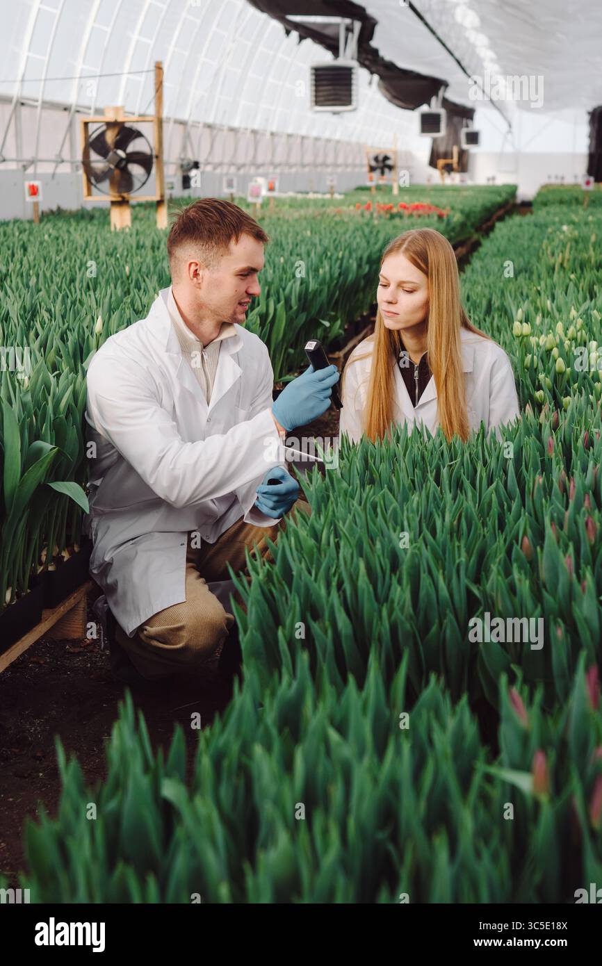 Two agricultural scientists in white lab coats are examining green ...