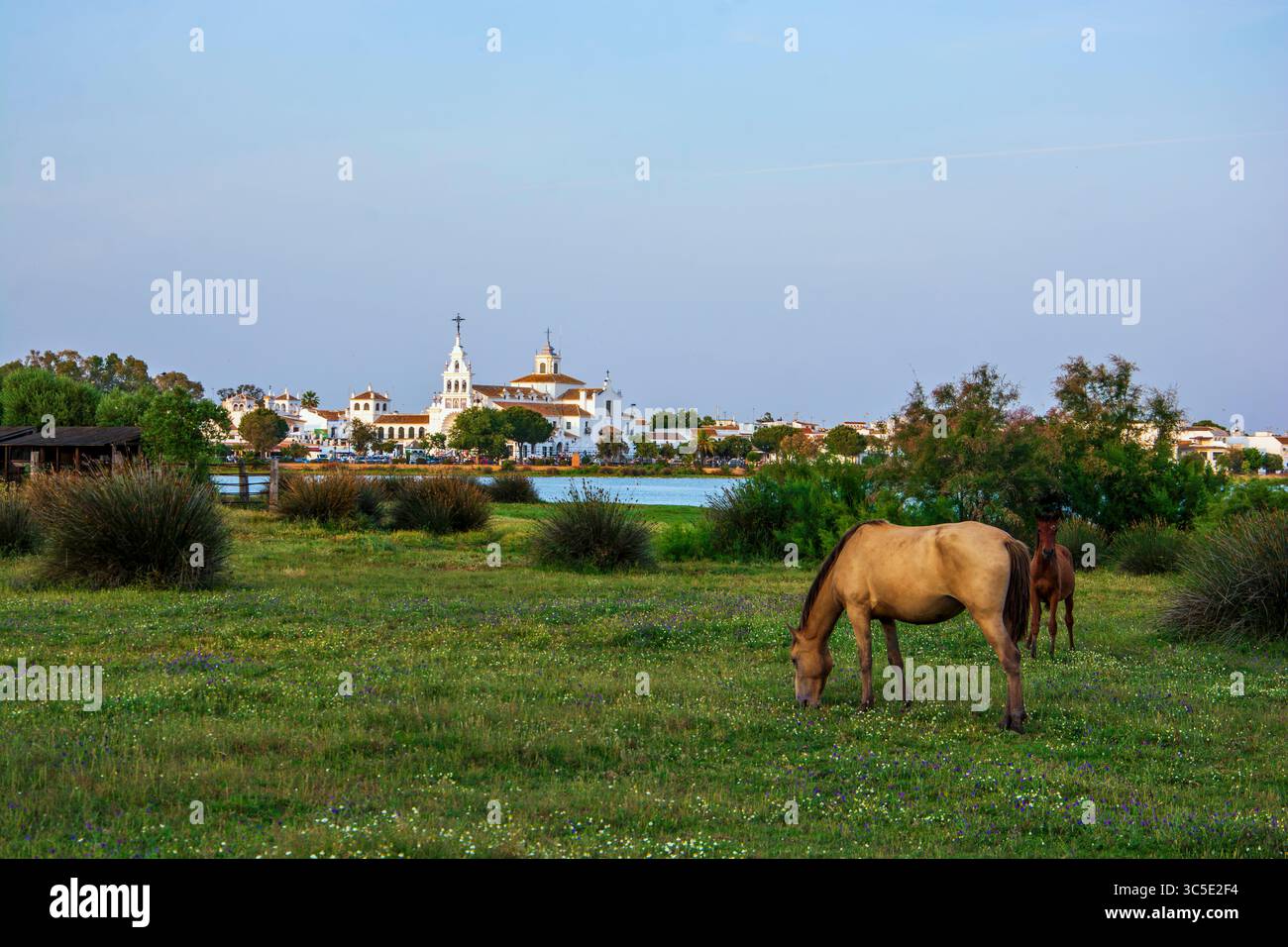 Fa ade Hermitage El Roc o Hi res Stock Photography And Images Alamy fa-ade-hermitage-el-roc-o-hi-res-stock-photography-and-images-alamy