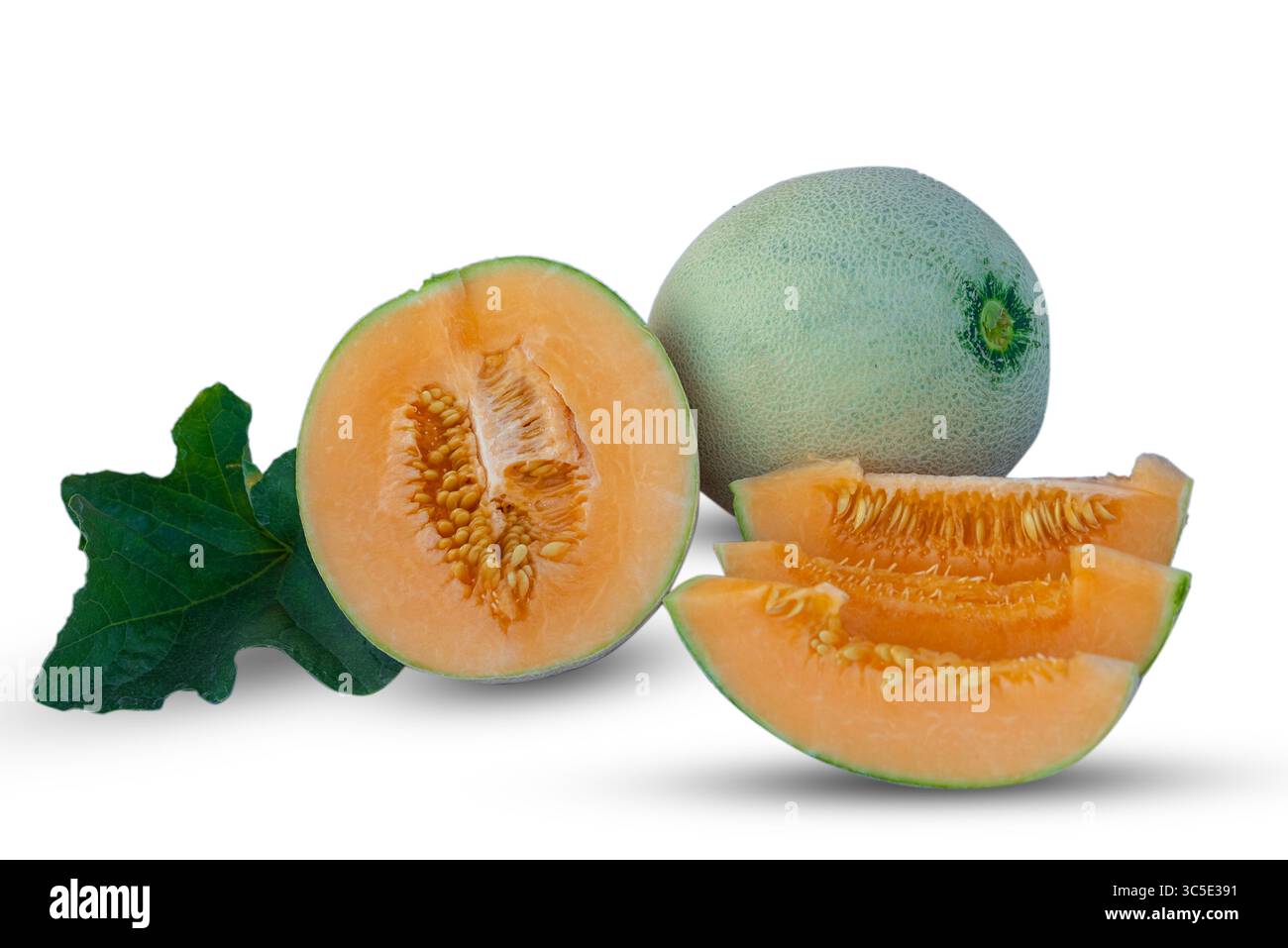 Cantaloupe melon and melon slice isolated on white background Stock Photo