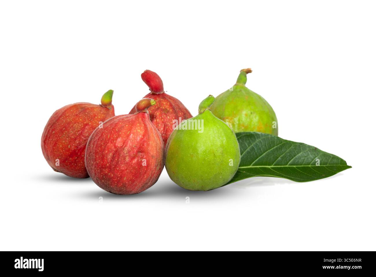 ficus racemosa, cluster fig fruit isolated on white background Stock Photo