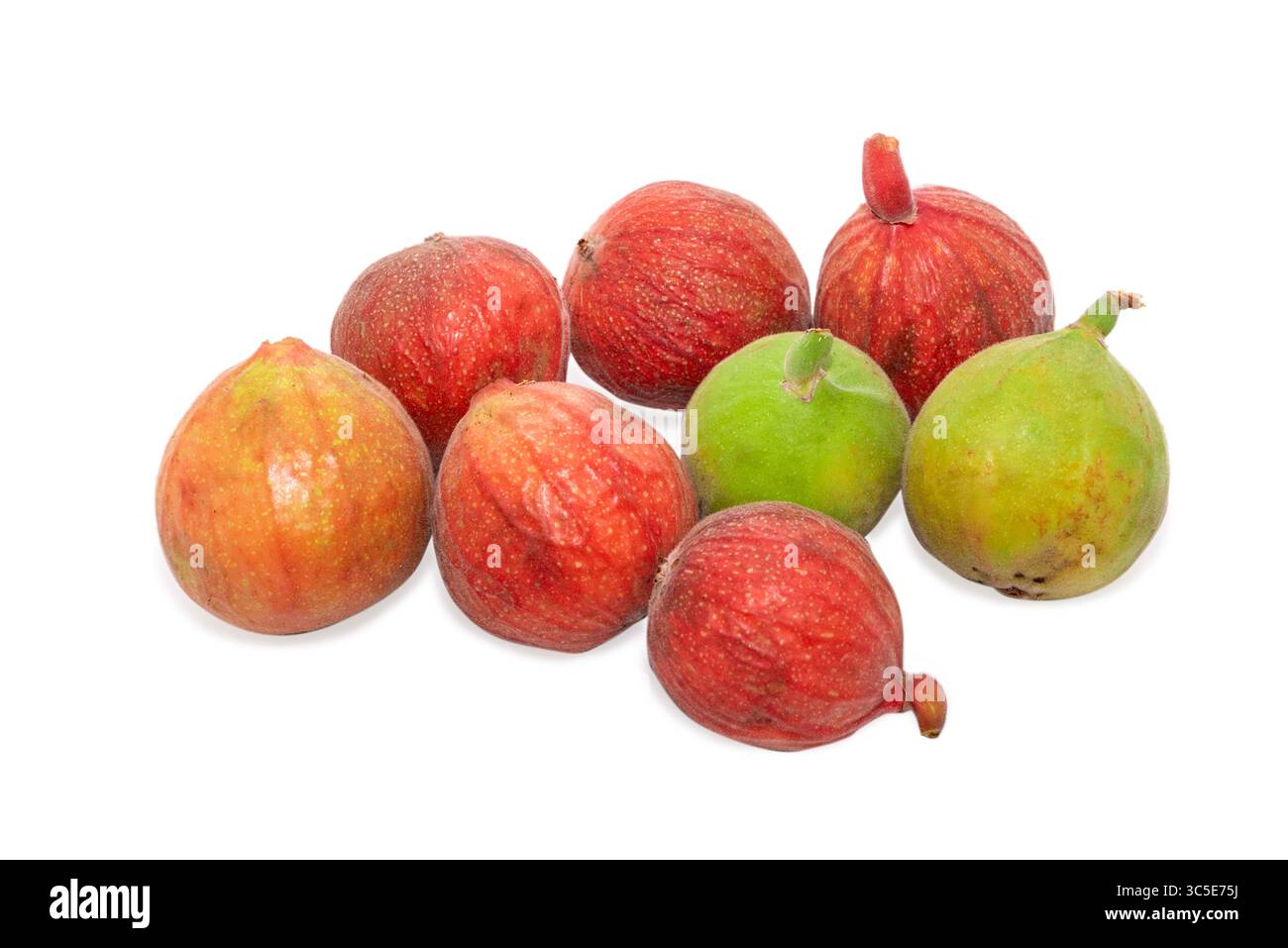 ficus racemosa, cluster fig fruit isolated on white background Stock Photo