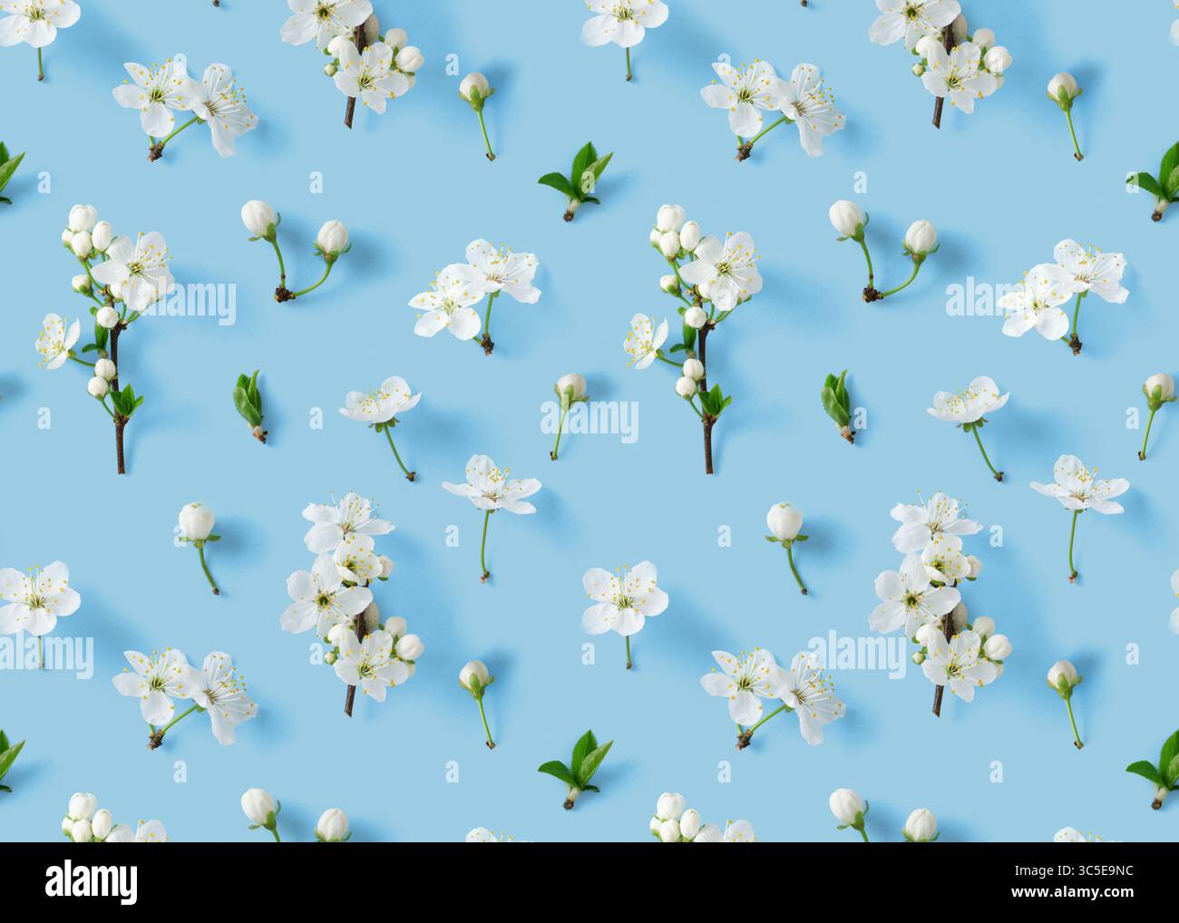 Cherry blossom pattern on blue background Stock Photo
