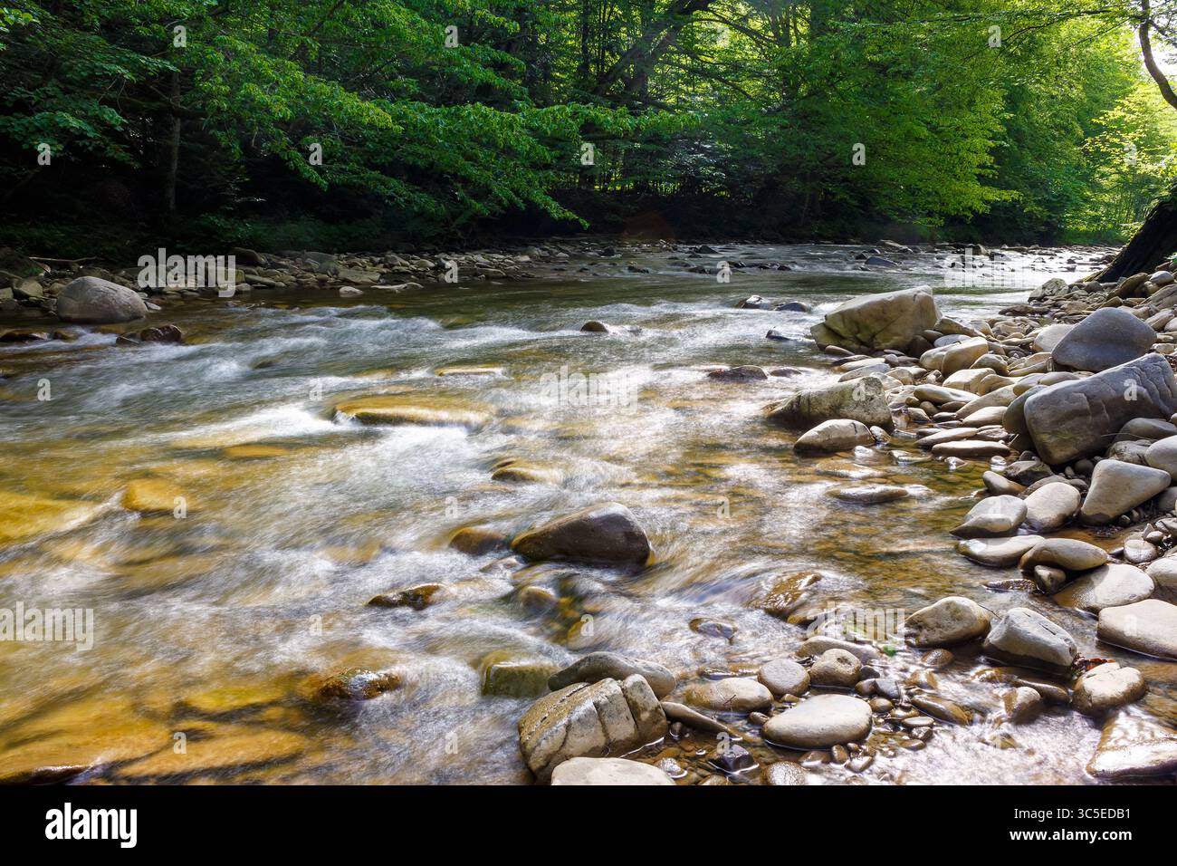 nature landscape with lyuta river in foliage forest. rocks in fresh water stream. wild outdoor scenery in summer. beautiful green environment backgrou Stock Photo