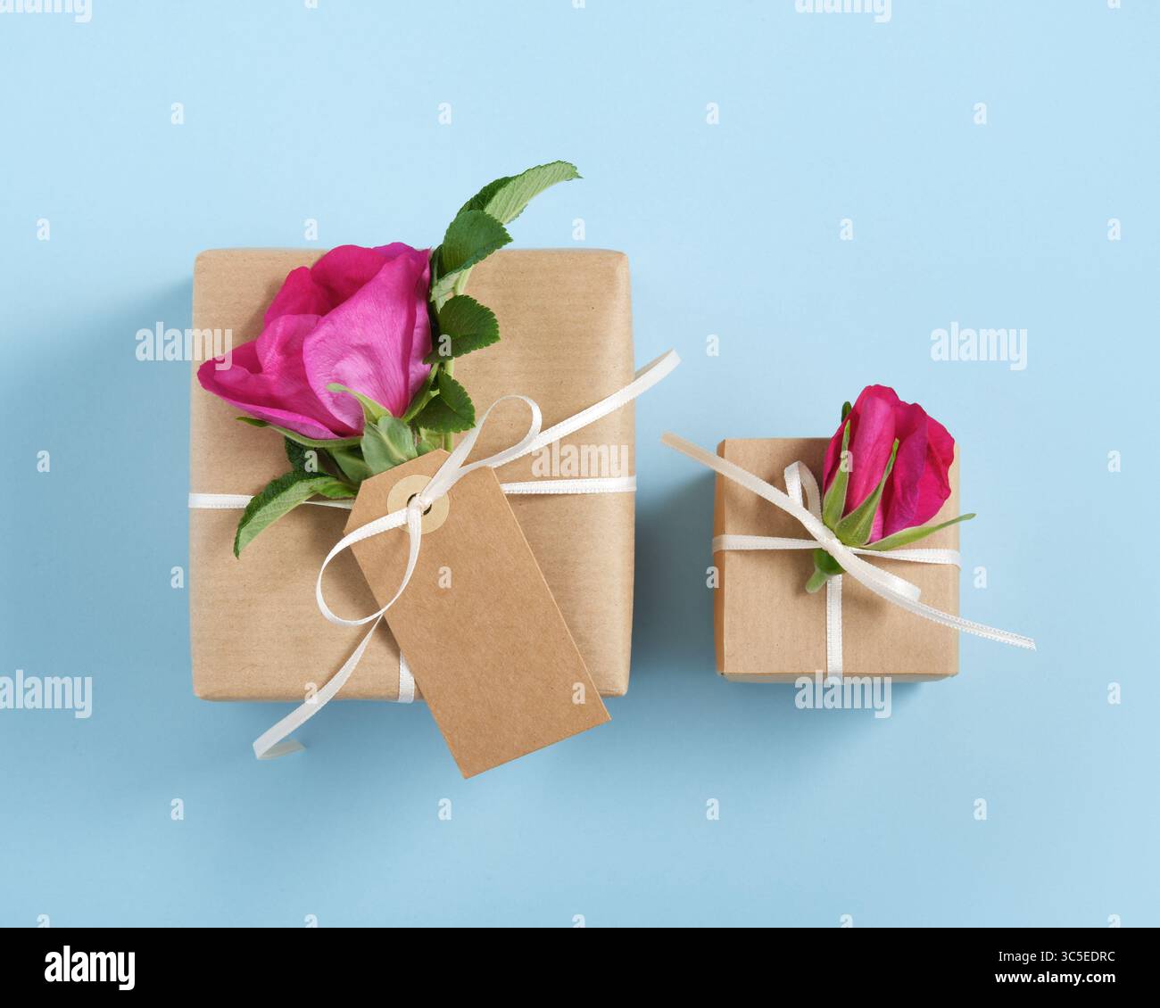 Two brown gift boxes with rosehip flowers and white ribbon on blue background. Stock Photo