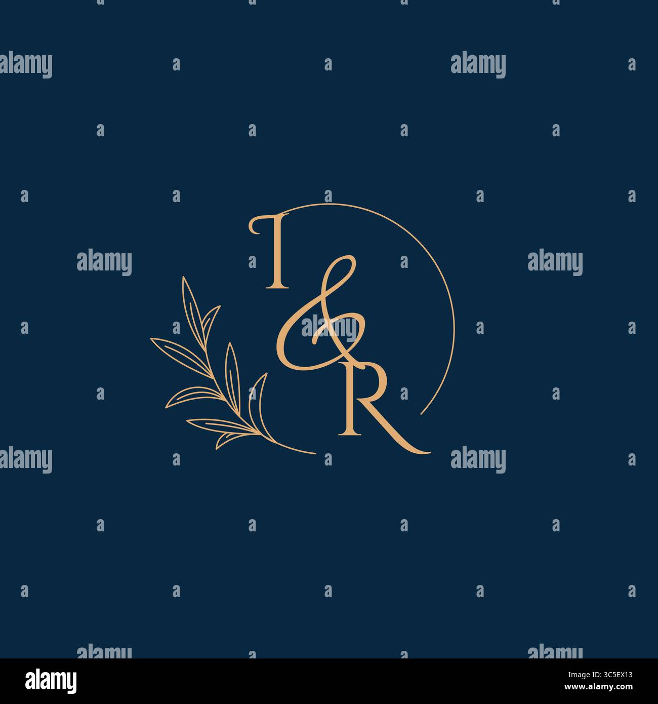 IR Initial Wedding Monogram Logo with Minimalistic Style vector graphic Stock Vector