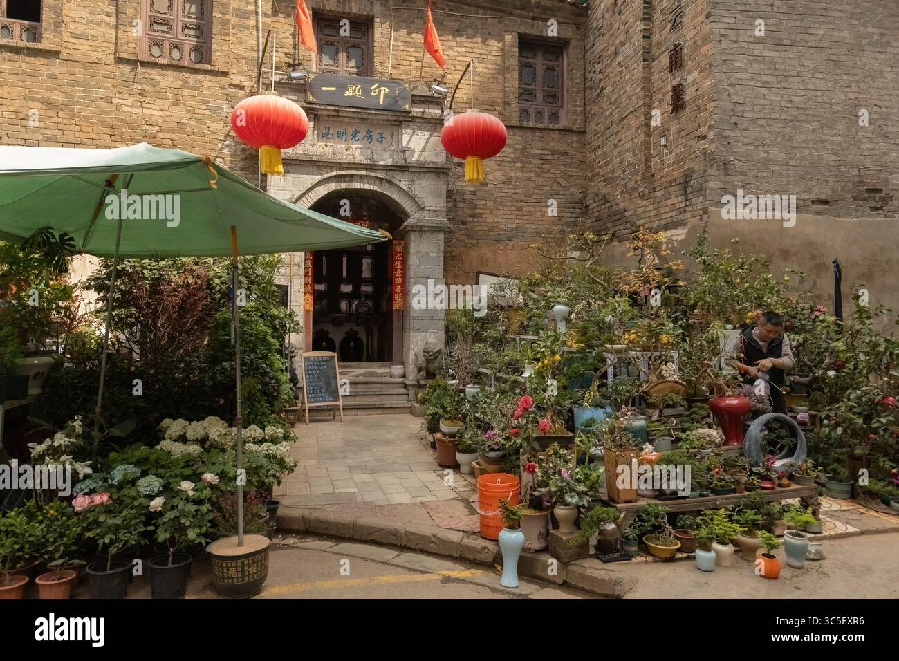 Flower market in Kunming town Yunnan China Stock Photo - Alamy