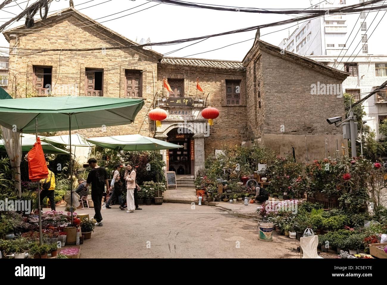 Flower market in Kunming town Yunnan China Stock Photo - Alamy