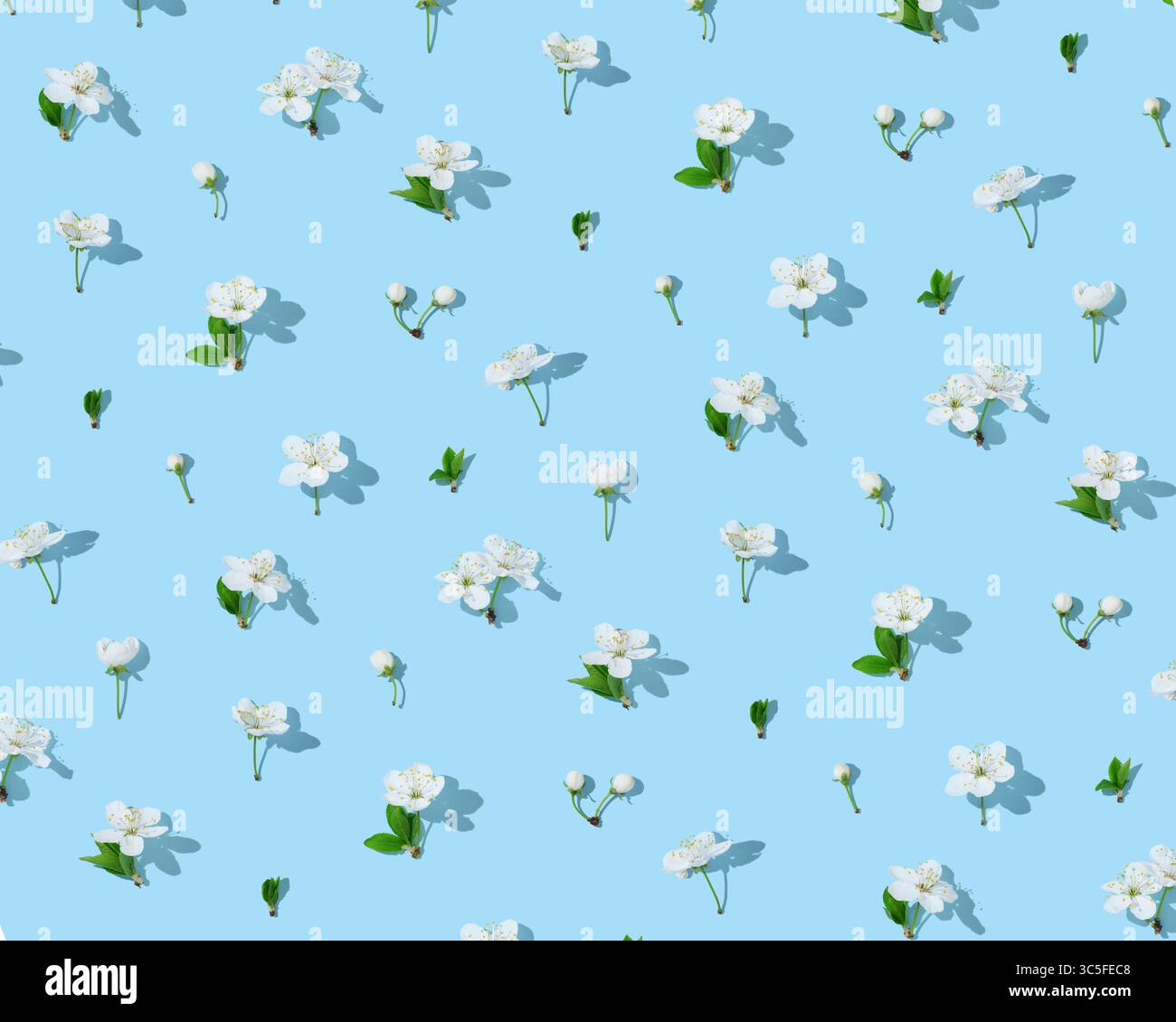 Seamless cherry blossom pattern on light blue background Stock Photo