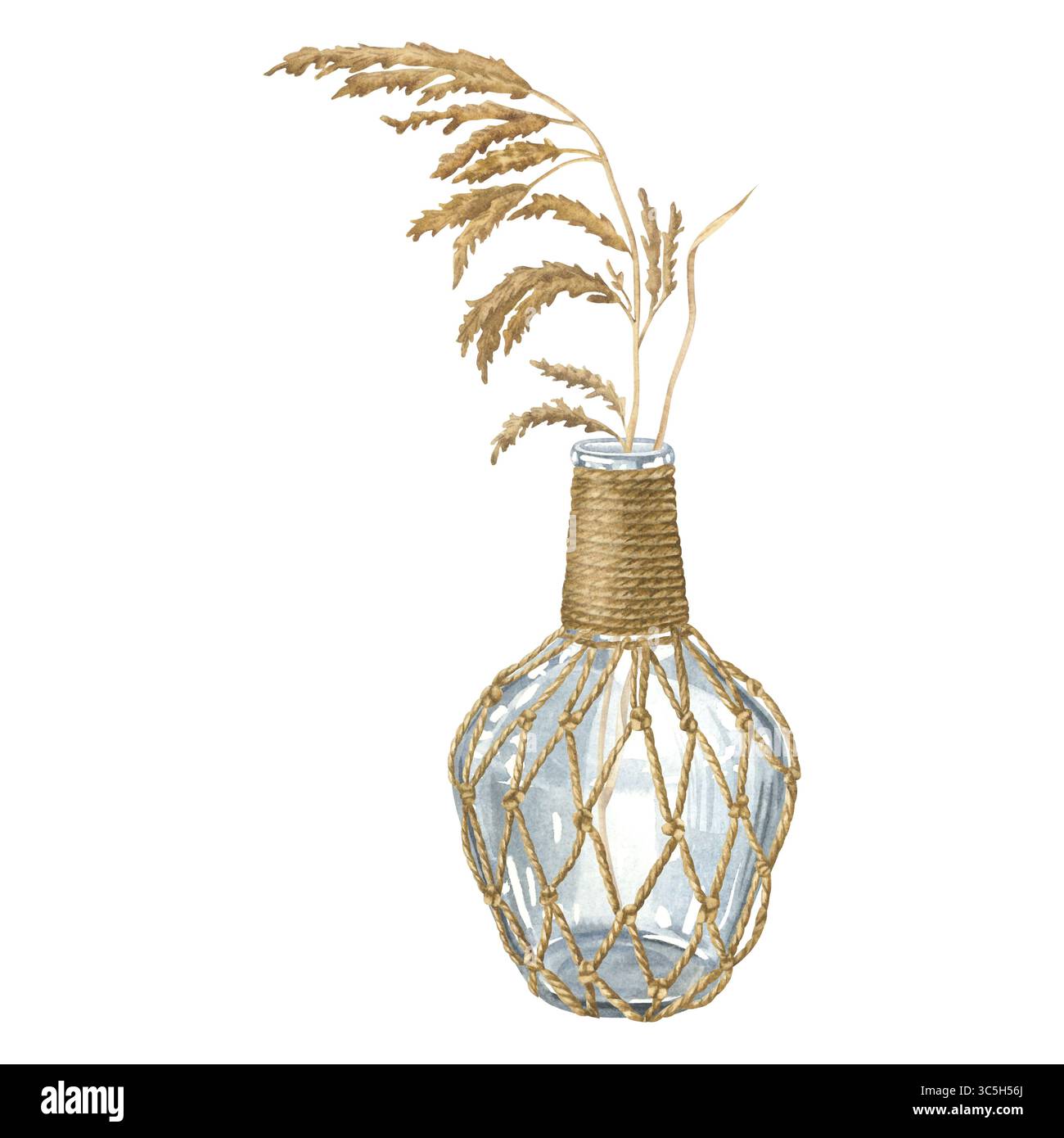 Dry natural reed plant in glass bottle wrapped with rope netting. Hand ...