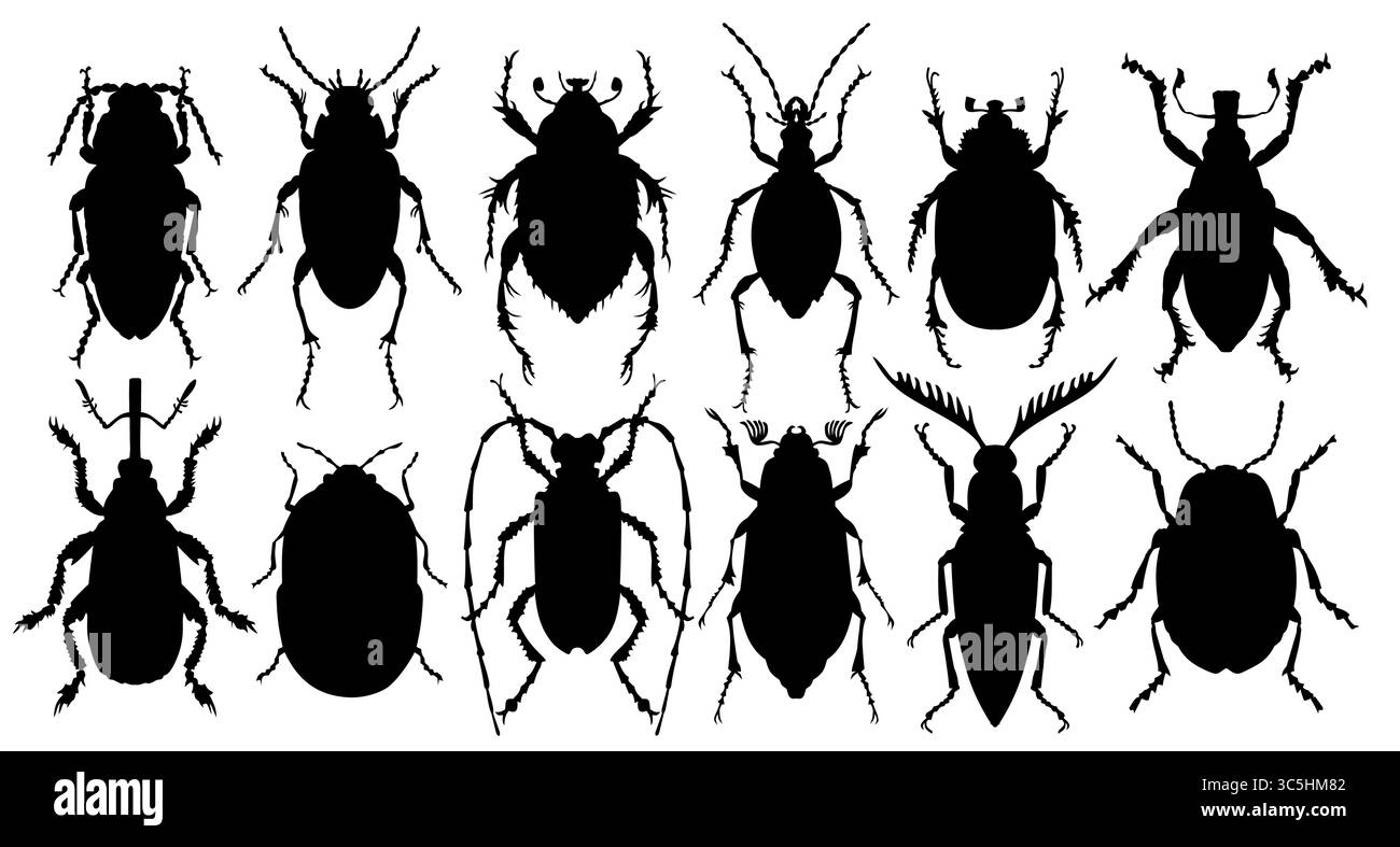 A Set of the silhouettes of bugs Stock Vector Image & Art - Alamy