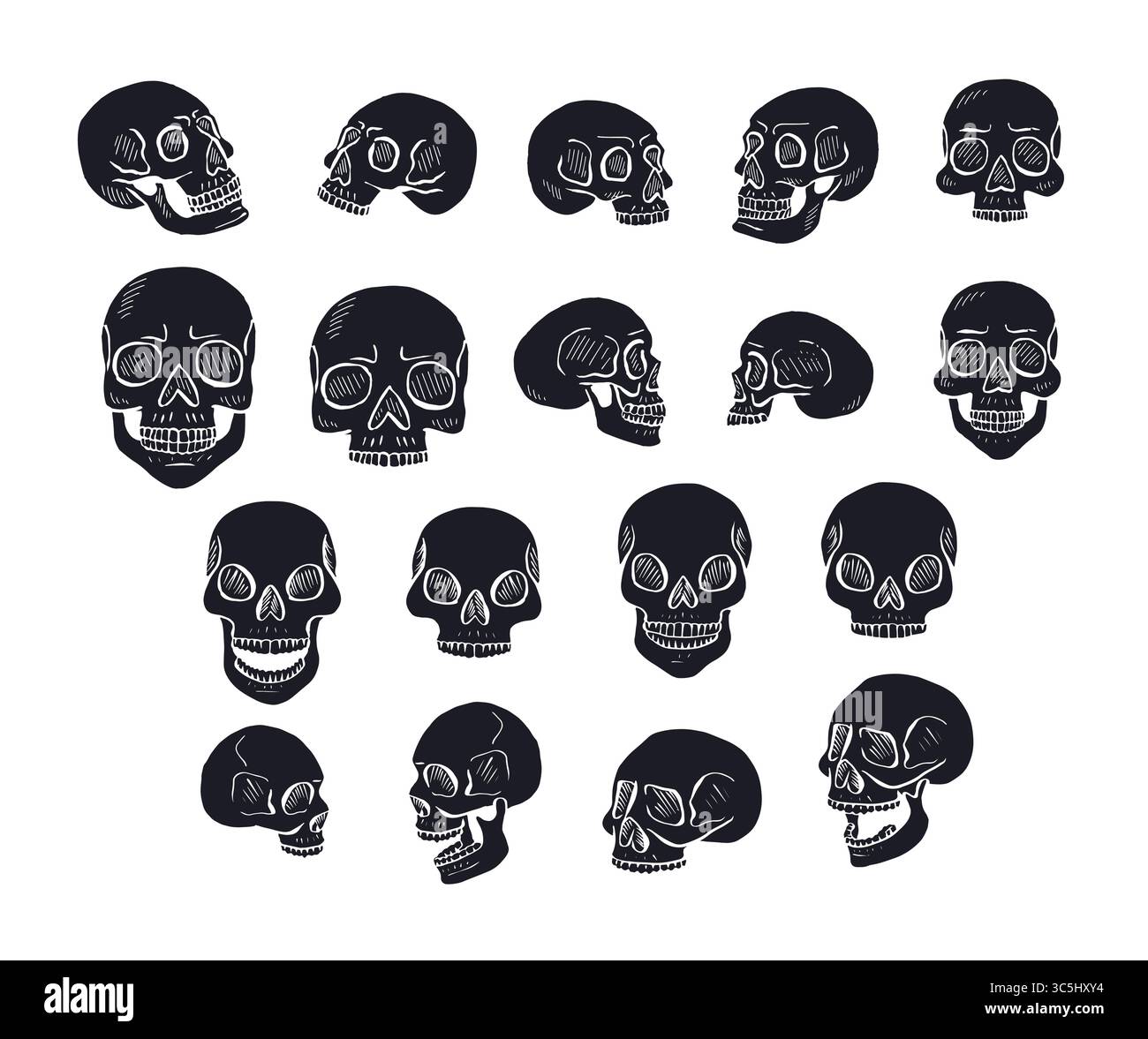 Hand drawn black silhouette human skulls set isolated on white ...