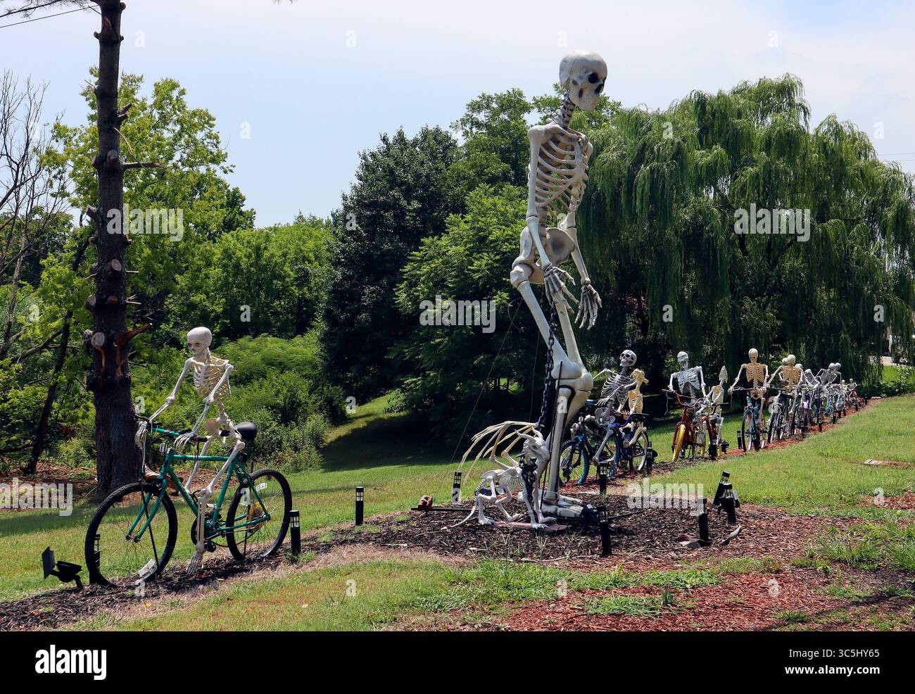 The Bone Yard in Loudon, Tennessee features skeletons of all sizes riding bikes, walking dogs, and playfully frolicking about. Stock Photo