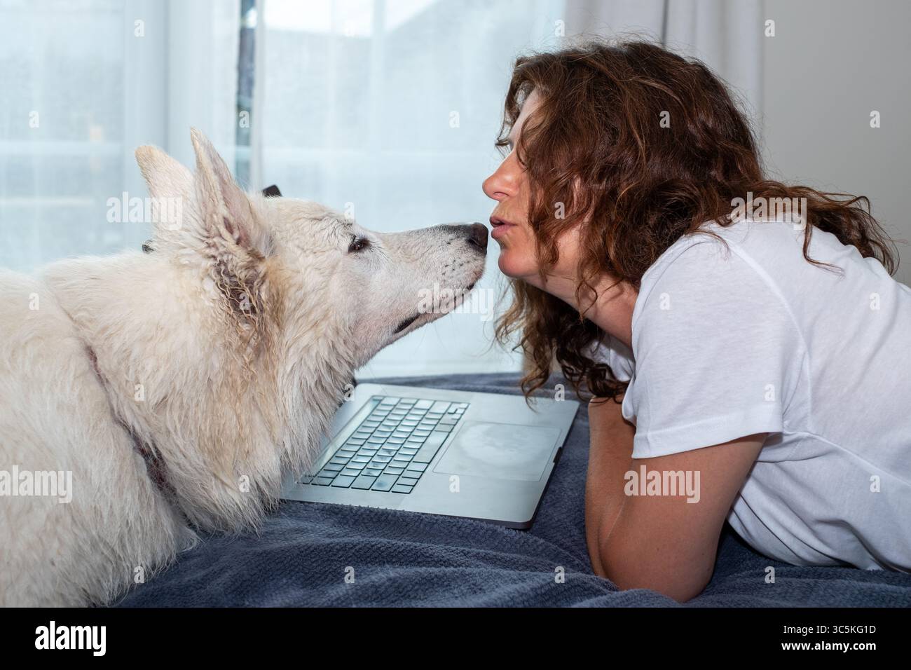 Female with curly hair engages with a white dog while using a laptop at home, highlighting the companionship and comfort of remote work environments Stock Photo