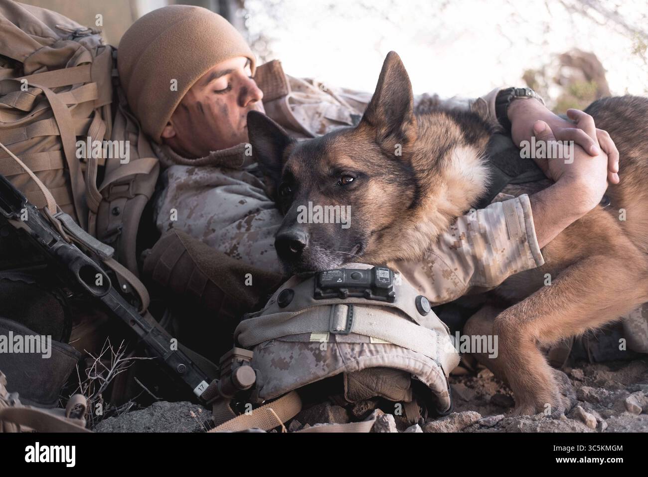 U.S. Marine Corps Cpl. Carlos Deleonsantiago, military working dog ...