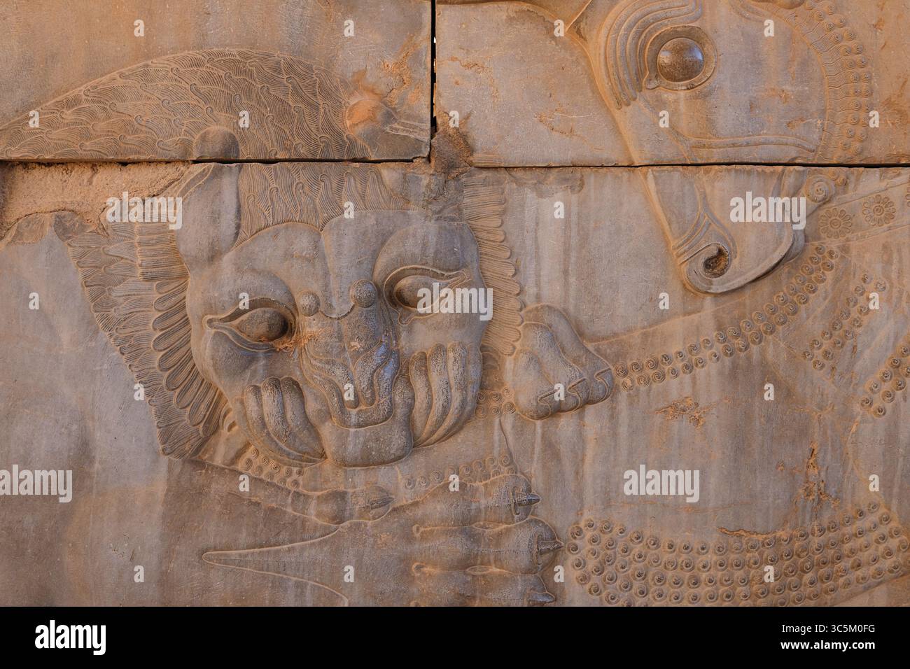 The walls of Persepolis in Iran are decorated with beautiful bas ...
