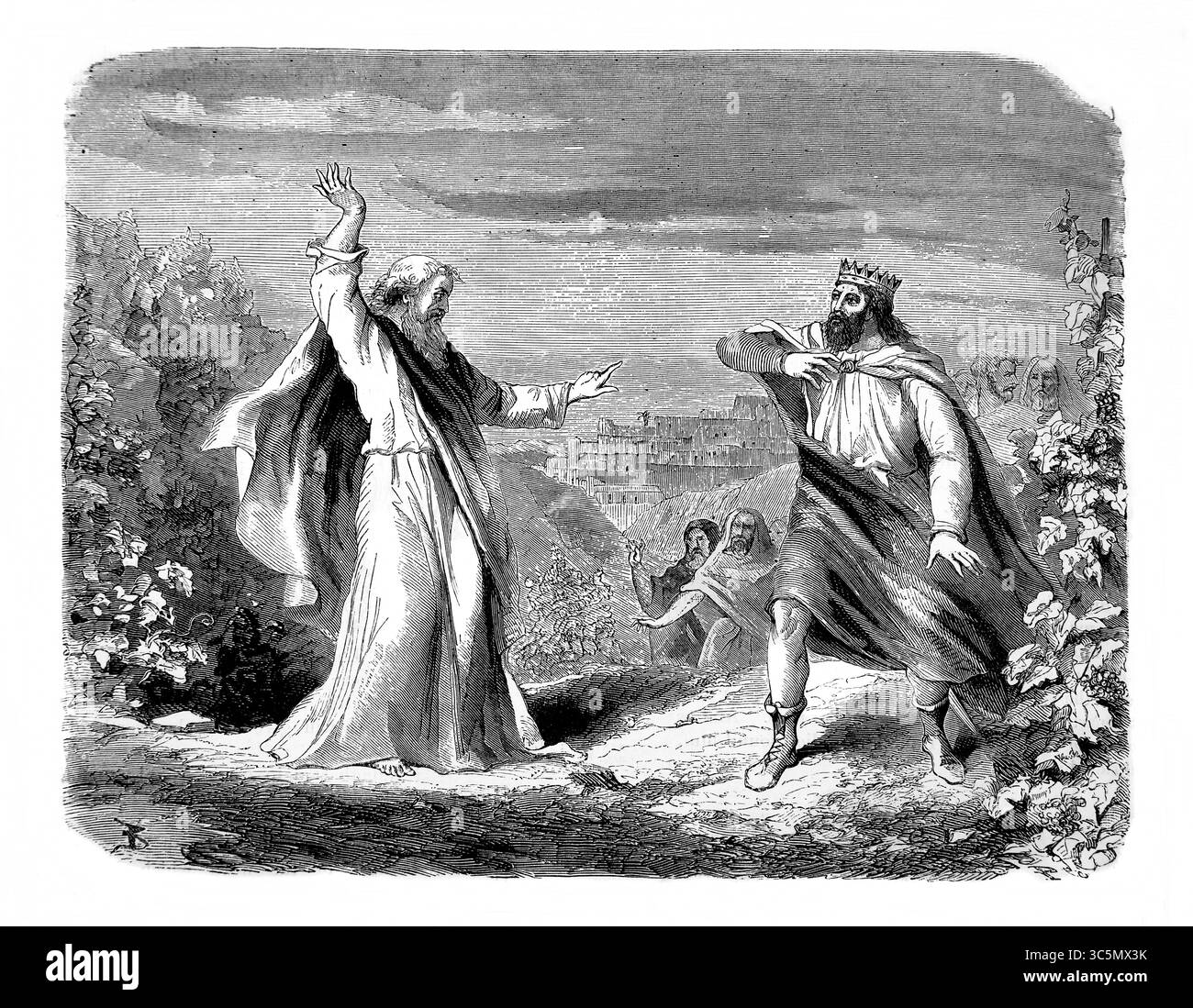 Vineyard in black and white Cut Out Stock Images & Pictures - Alamy