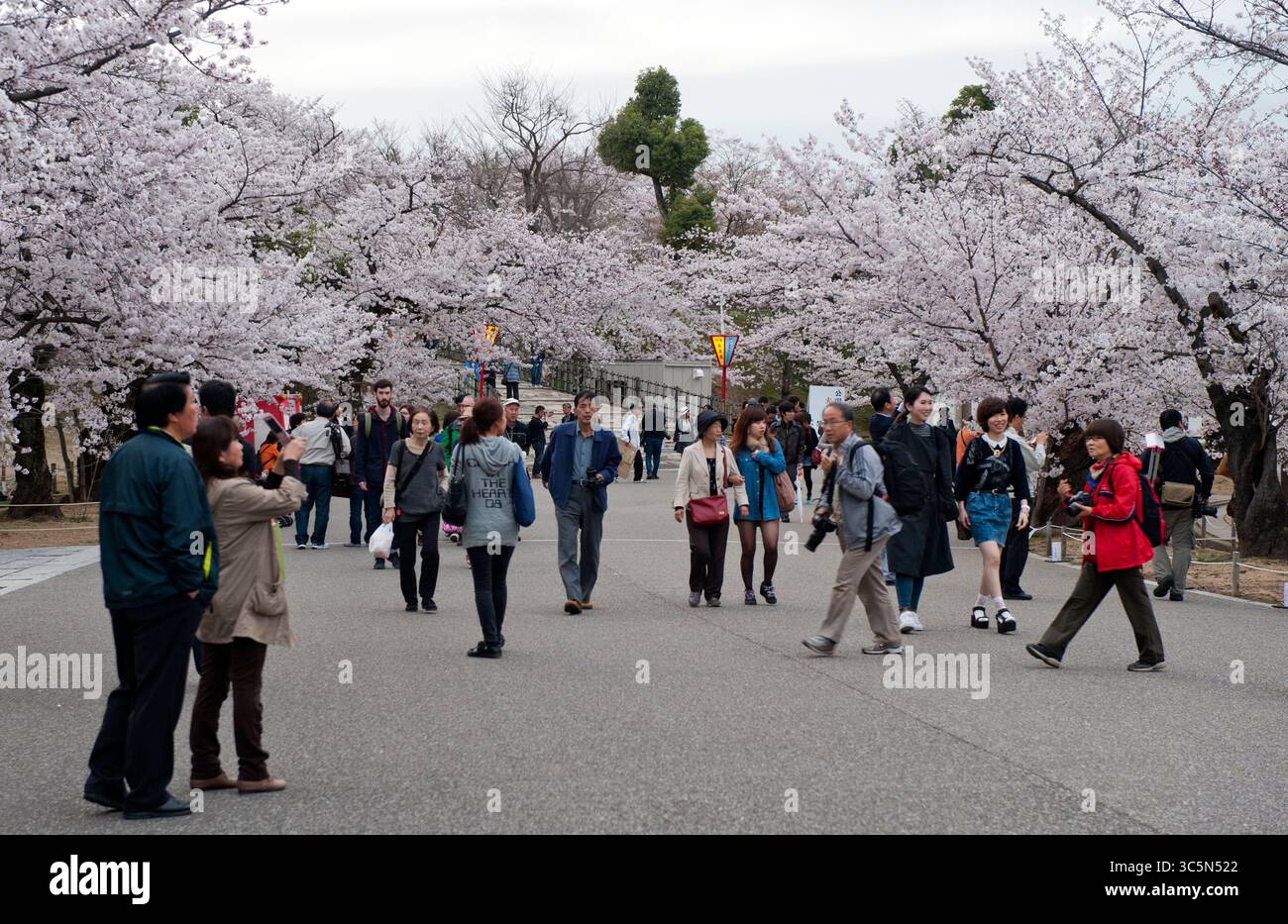 Person In Spring Japanese people outside in spring season for
