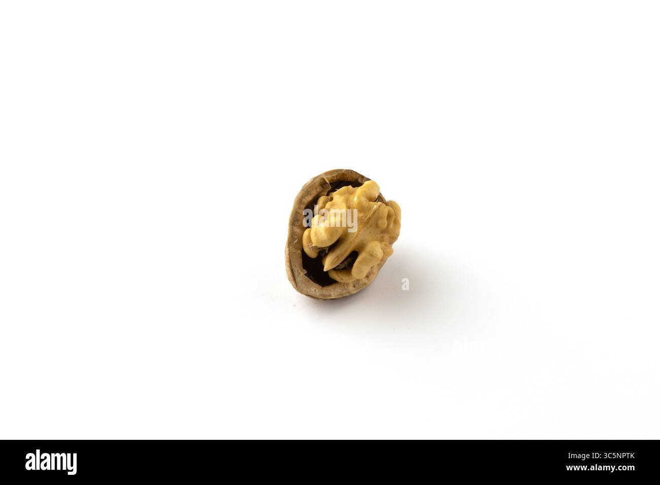 Whole walnut kernel with shell on a white background. Stock Photo
