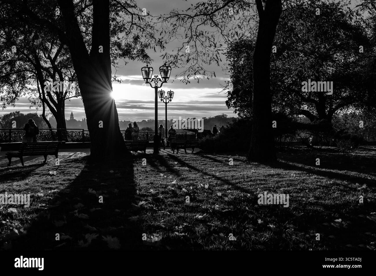 Black and White Autumn Park Scene at Sunset with Starburst Sun and Benches Stock Photo