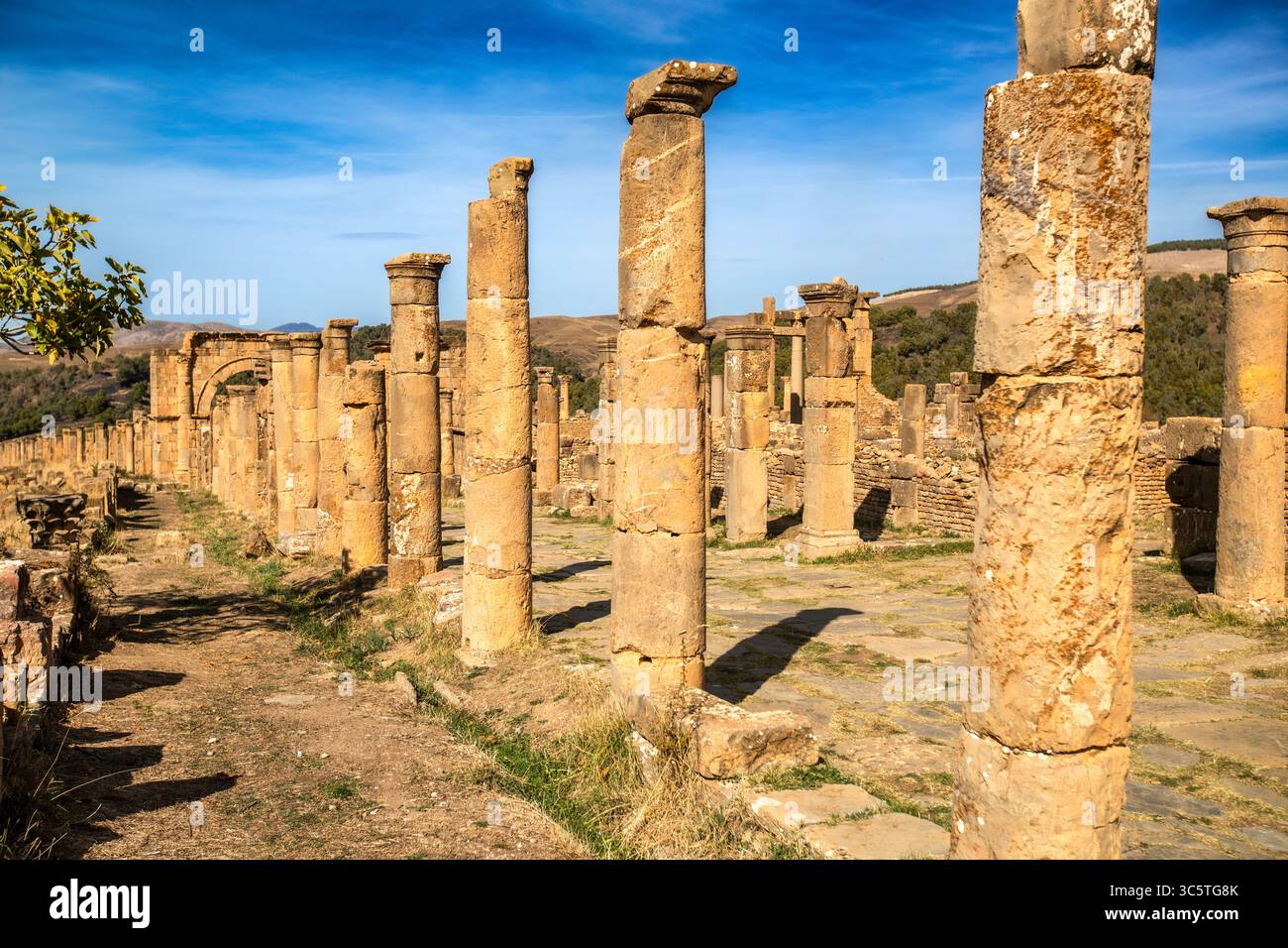 Aicent Rome Collums A striking low-angle shot showcases a series of remarkably preserved ...