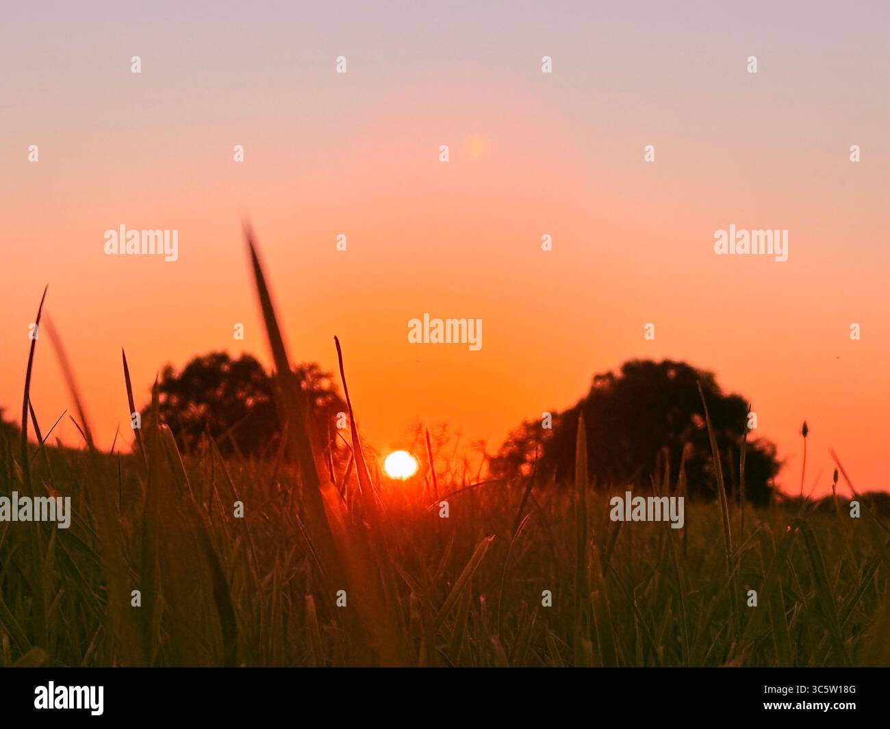 The sunsets with the nature from different situations - Smartphone Captured Stock Image