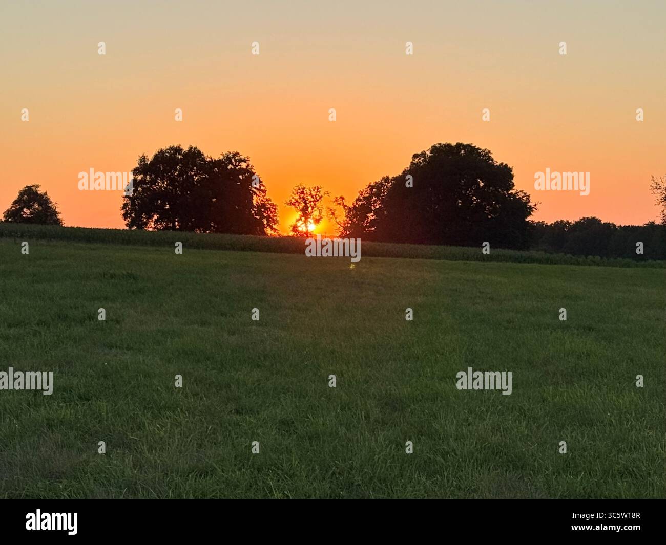 The sunsets with the nature from different situations - Smartphone Captured Stock Image