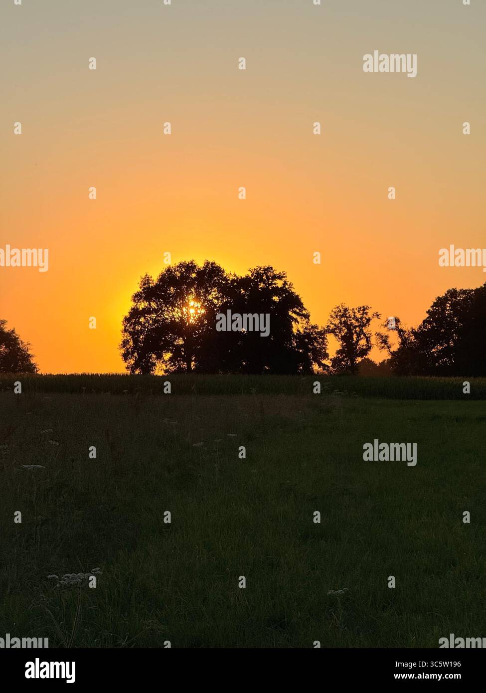 The sunsets with the nature from different situations - Smartphone Captured Stock Image