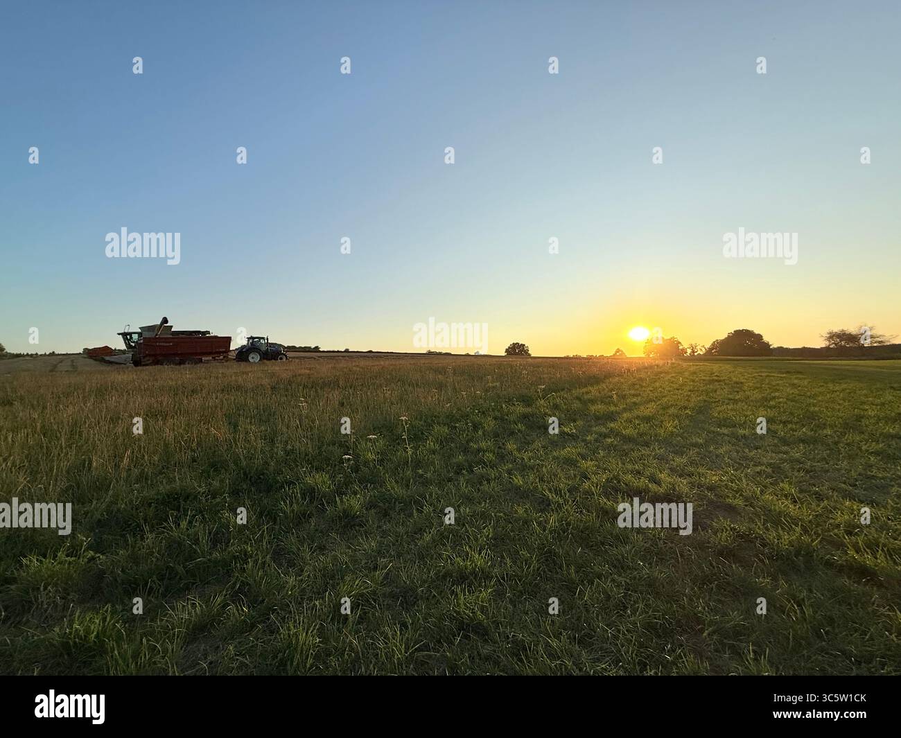 Moments of game with the bale of straw - Smartphone Captured Stock Image