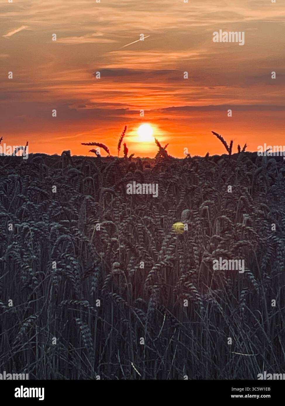 The sunsets with the nature from different situations - Smartphone Captured Stock Image