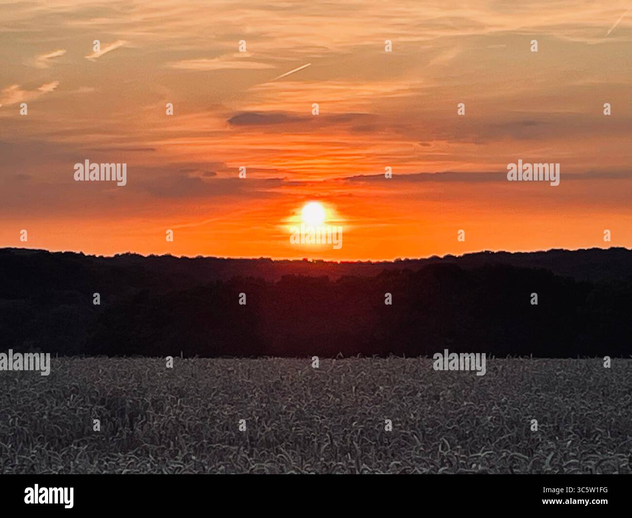 The sunsets with the nature from different situations - Smartphone Captured Stock Image