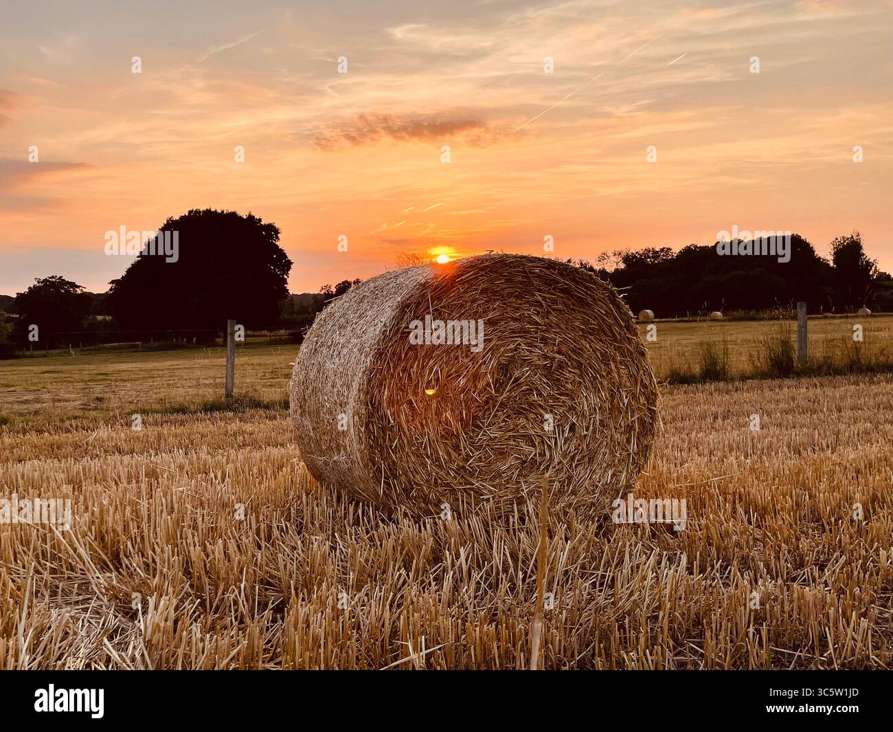 Moments of game with the bale of straw - Smartphone Captured Stock Image