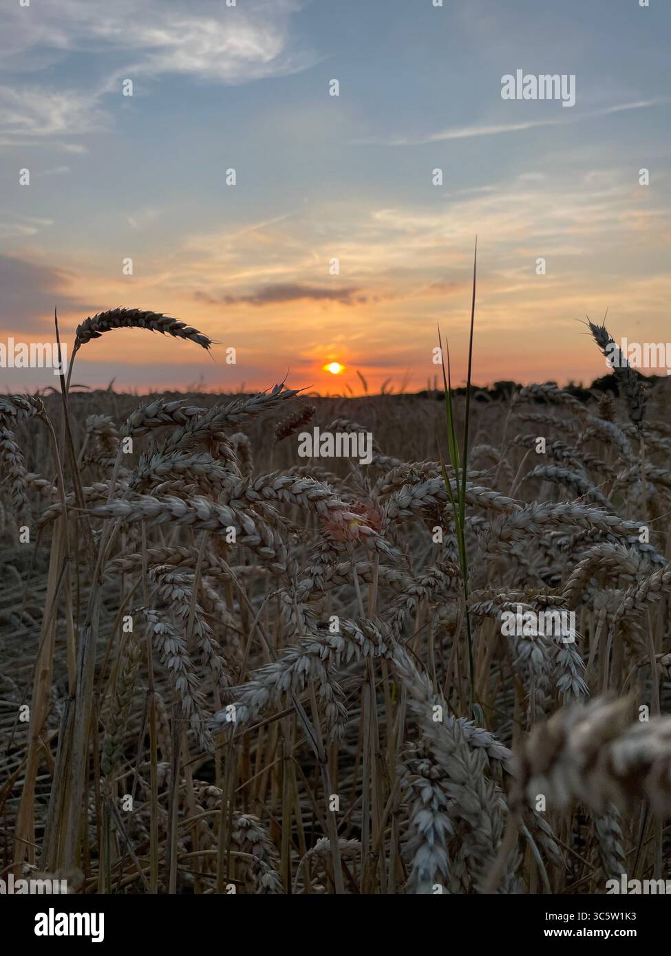 The sunsets with the nature from different situations - Smartphone Captured Stock Image