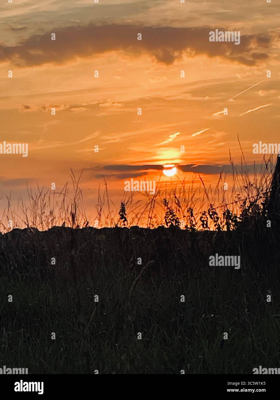 The sunsets with the nature from different situations - Smartphone Captured Stock Image