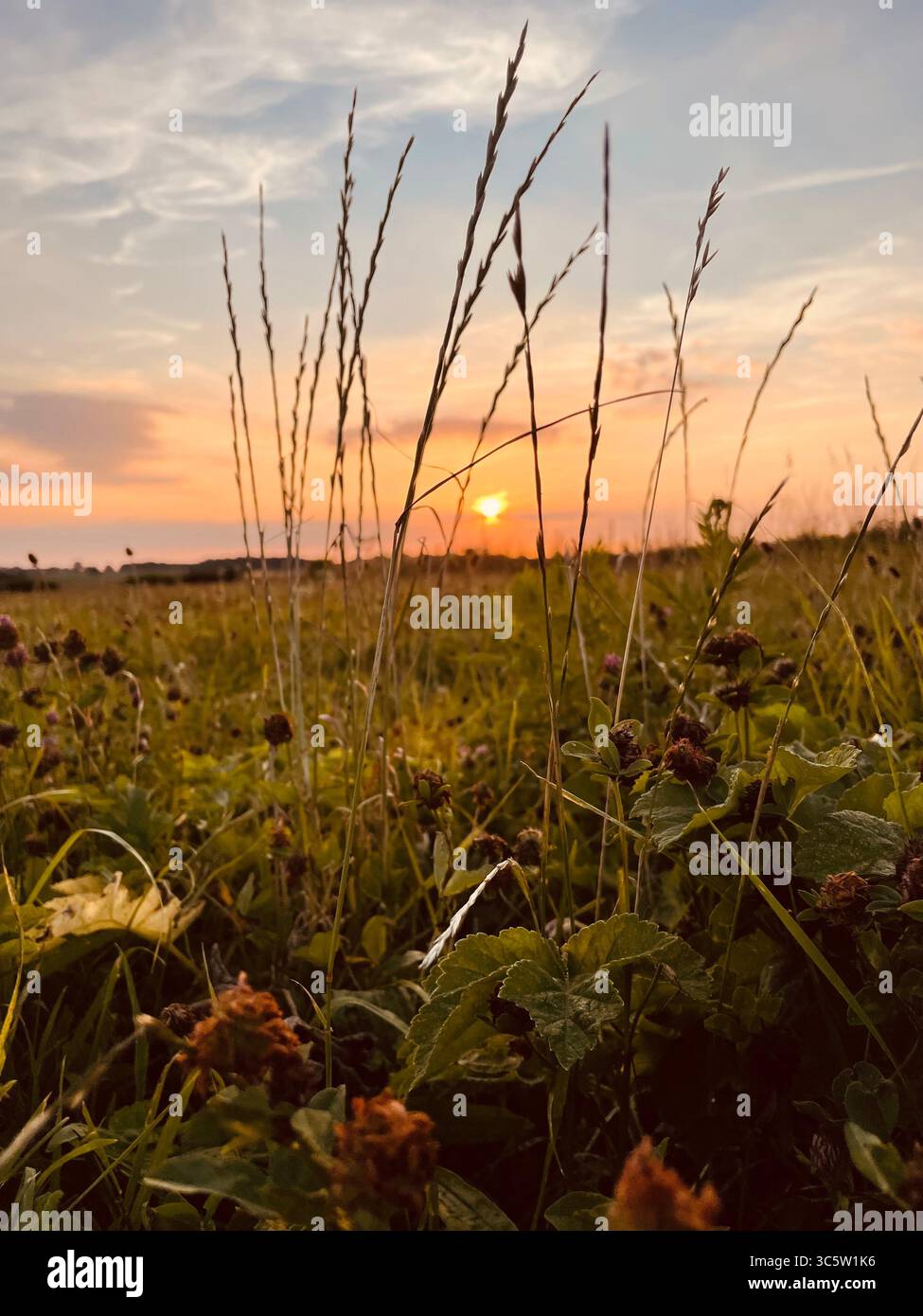 The sunsets with the nature from different situations - Smartphone Captured Stock Image