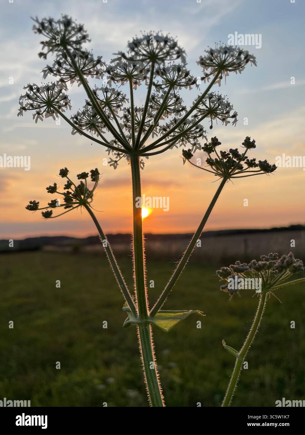 The sunsets with the nature from different situations - Smartphone Captured Stock Image