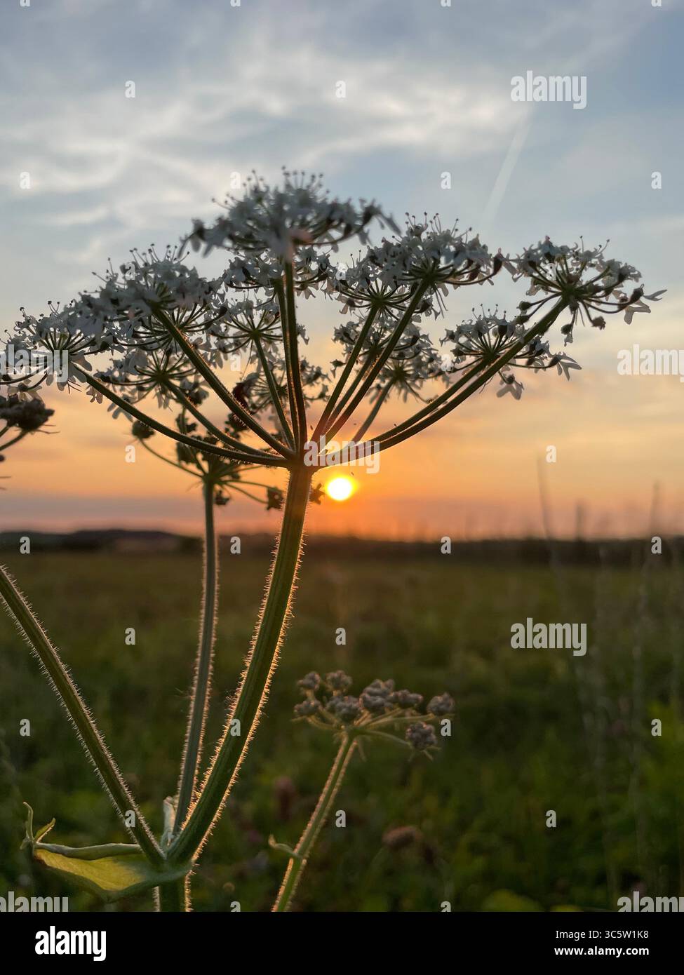The sunsets with the nature from different situations - Smartphone Captured Stock Image