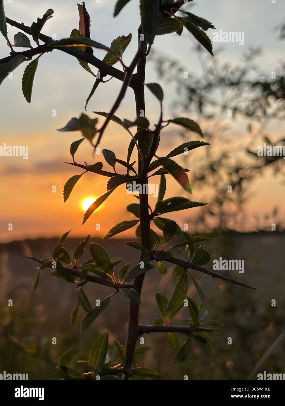 The sunsets with the nature from different situations - Smartphone Captured Stock Image