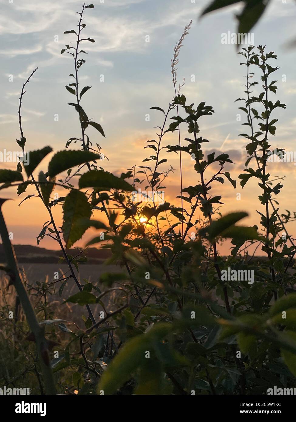 The sunsets with the nature from different situations - Smartphone Captured Stock Image