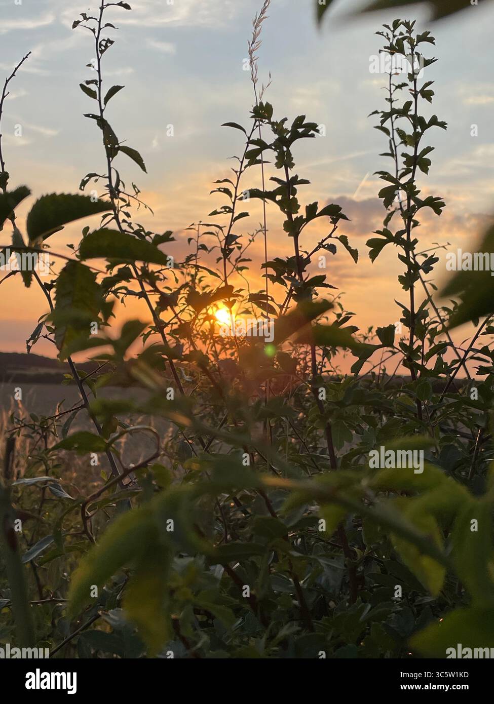 The sunsets with the nature from different situations - Smartphone Captured Stock Image