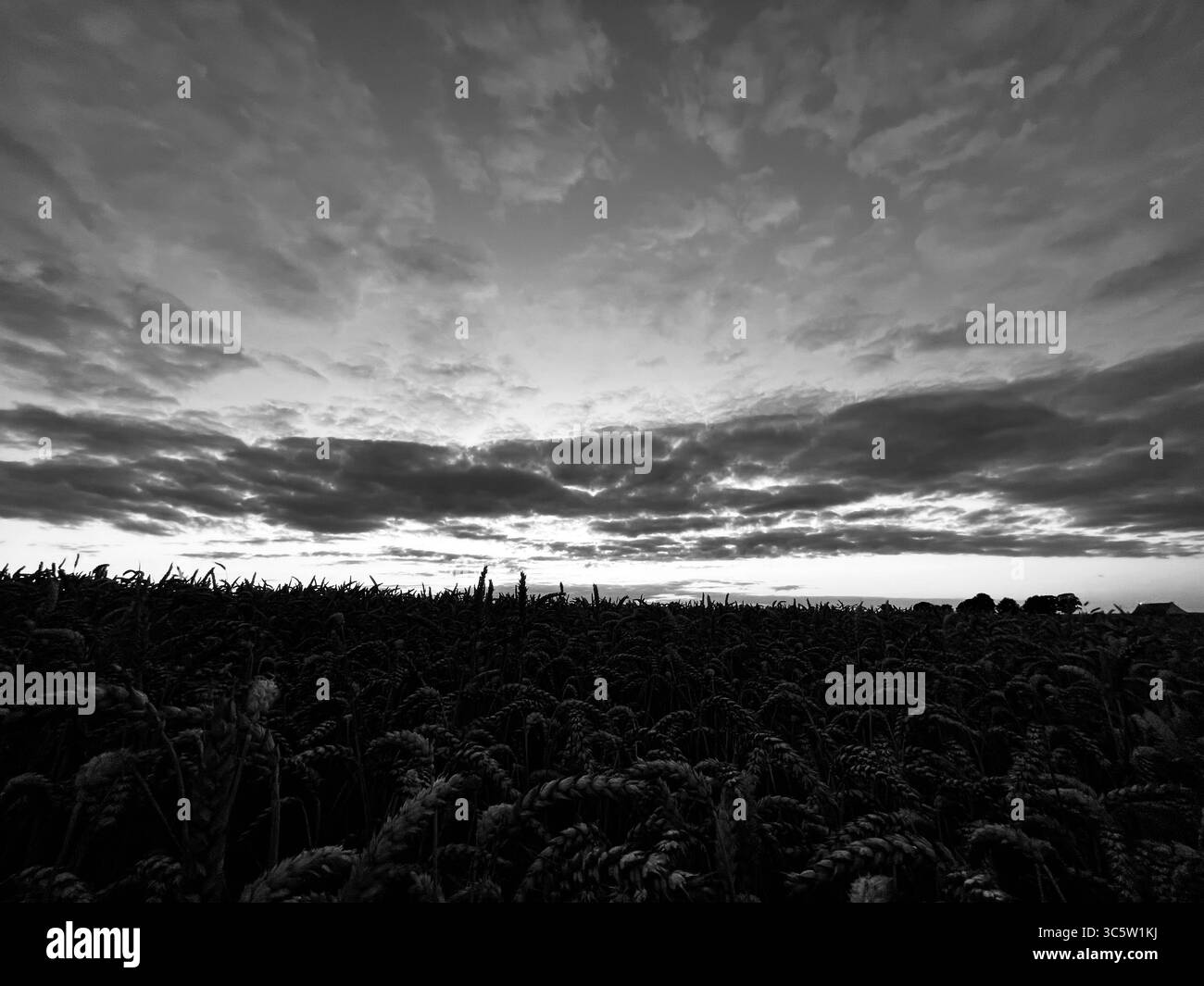 The sunsets with the nature from different situations - Smartphone Captured Stock Image