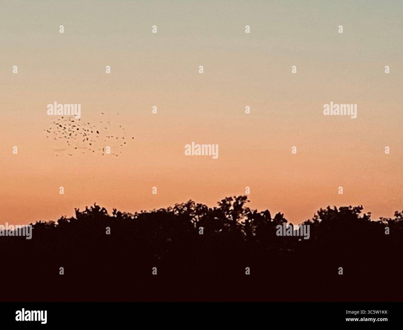 The sunsets with the nature from different situations - Smartphone Captured Stock Image