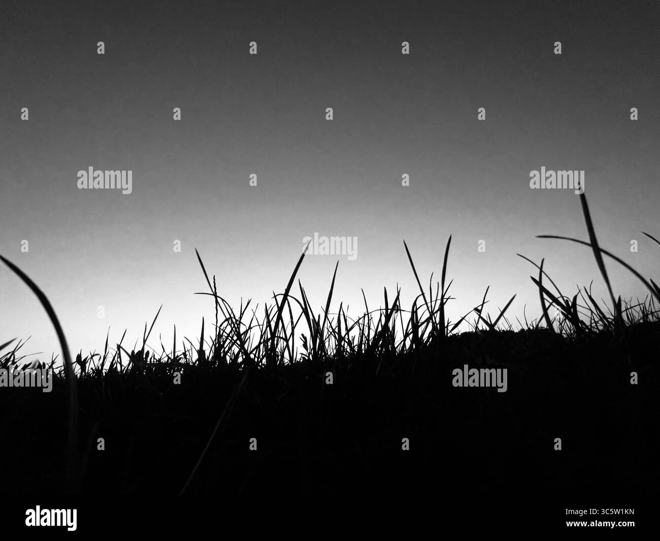 The sunsets with the nature from different situations - Smartphone Captured Stock Image