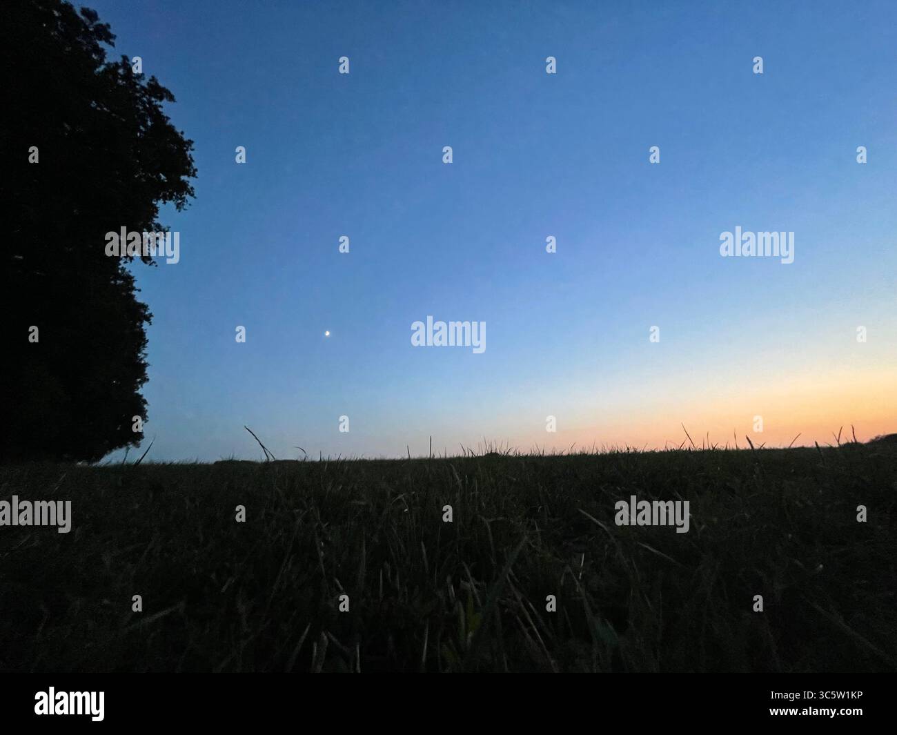 The sunsets with the nature from different situations - Smartphone Captured Stock Image