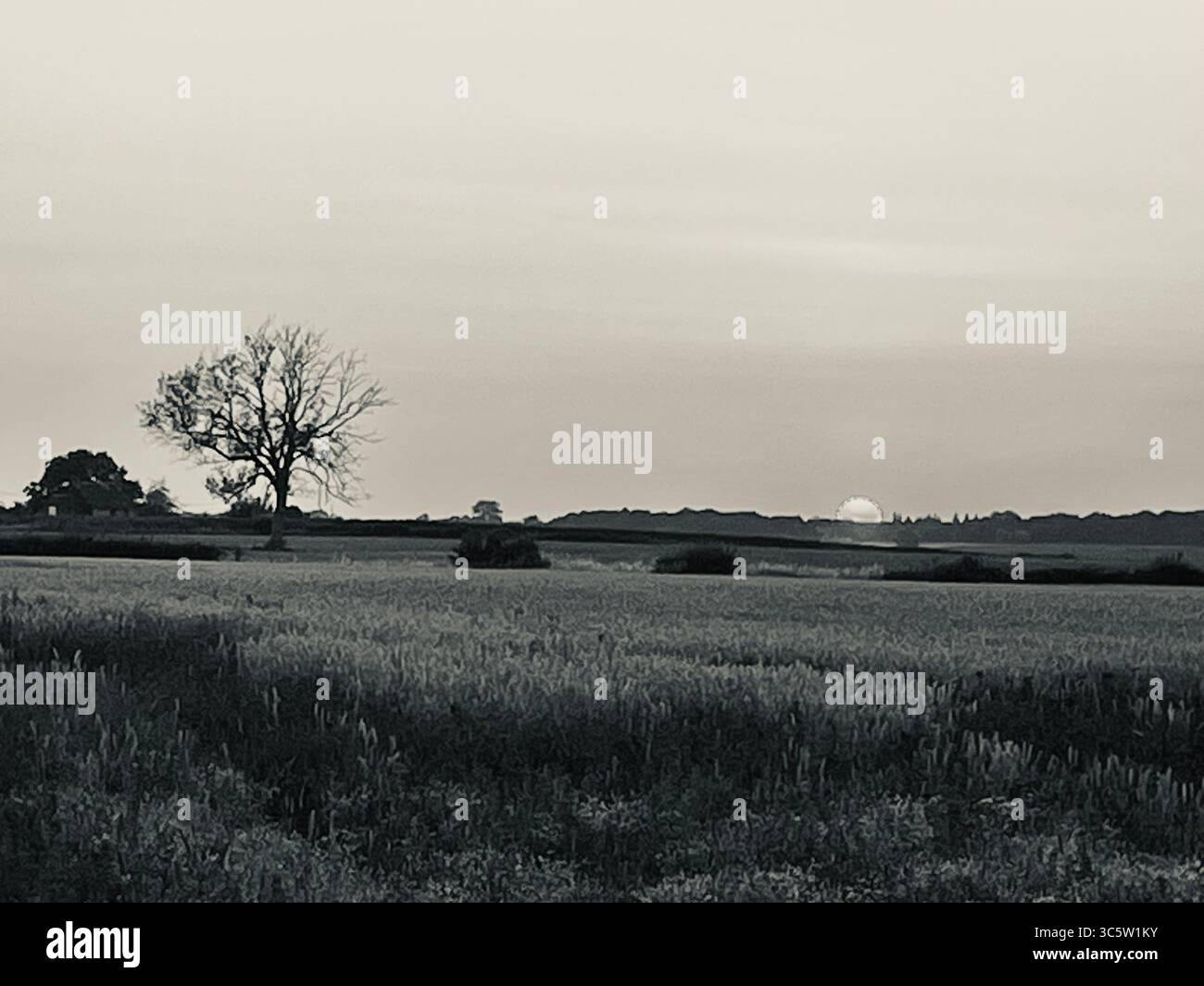 The sunsets with the nature from different situations - Smartphone Captured Stock Image