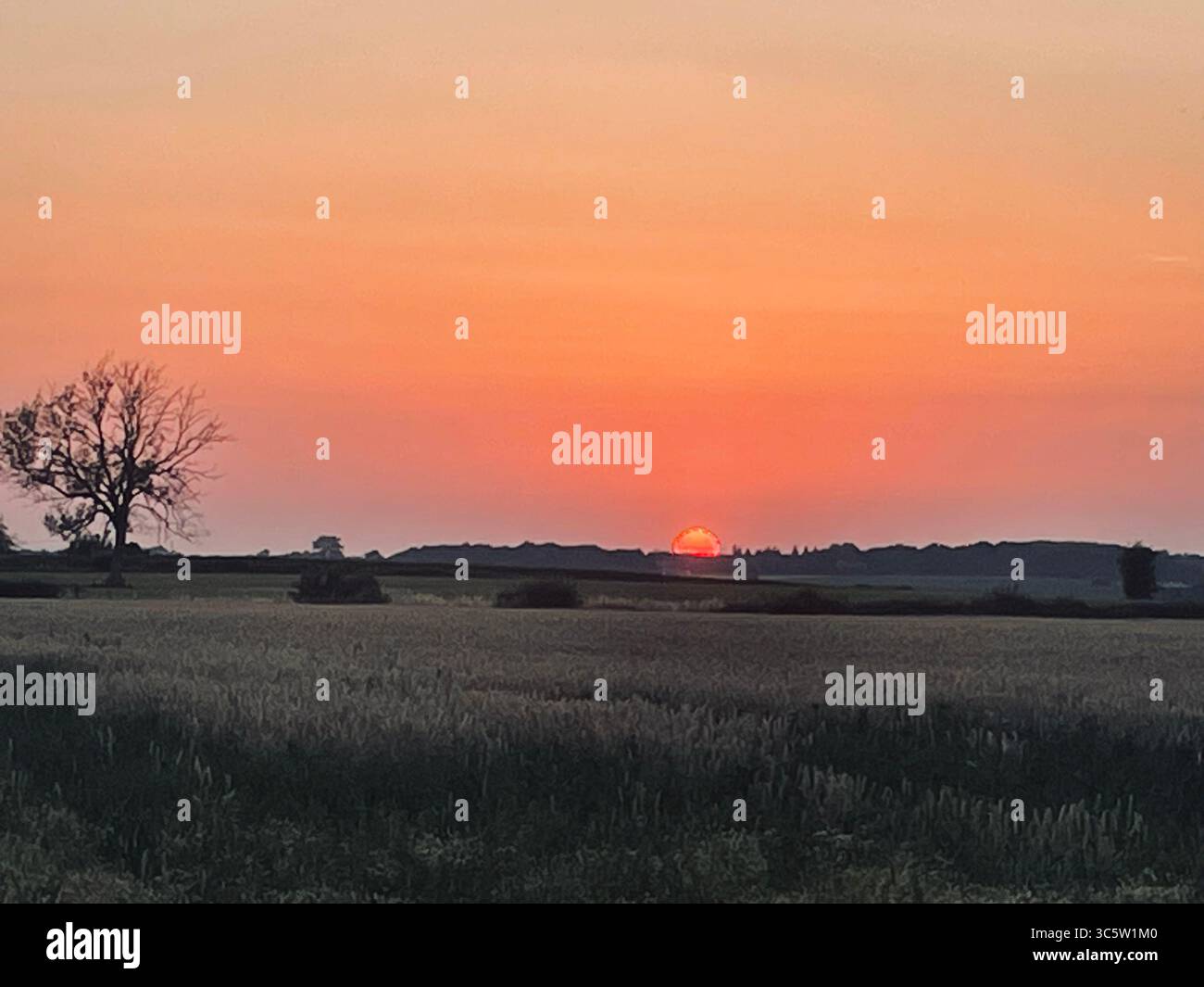 The sunsets with the nature from different situations - Smartphone Captured Stock Image