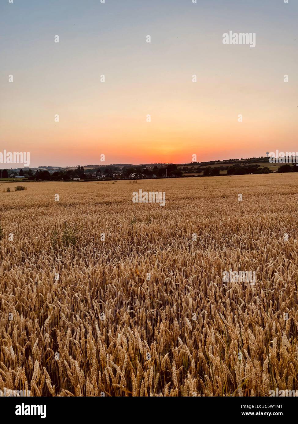 The sunsets with the nature from different situations - Smartphone Captured Stock Image