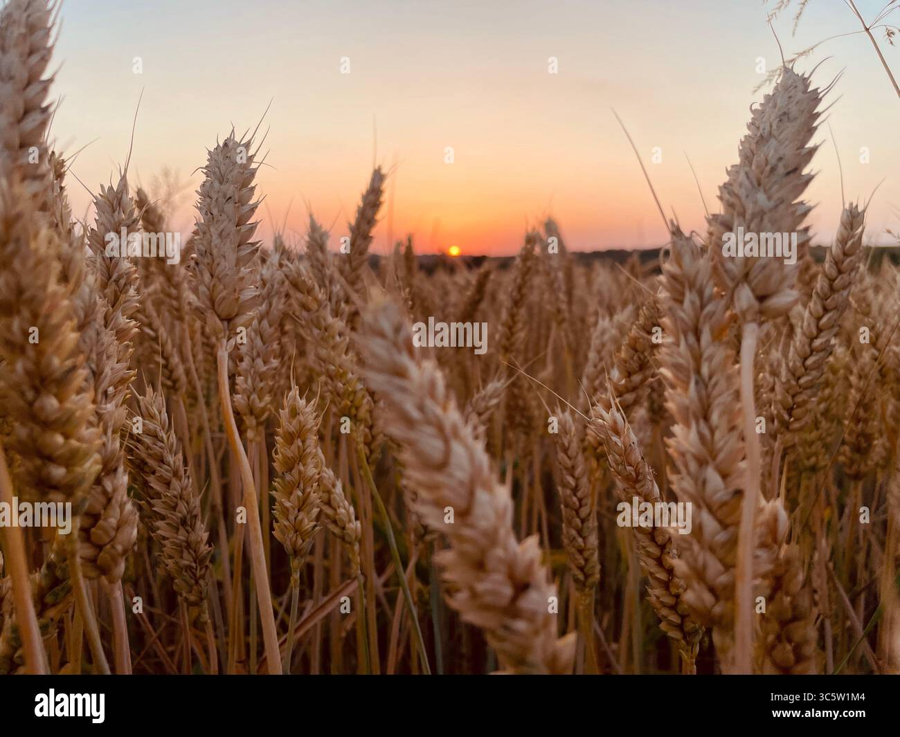 The sunsets with the nature from different situations - Smartphone Captured Stock Image