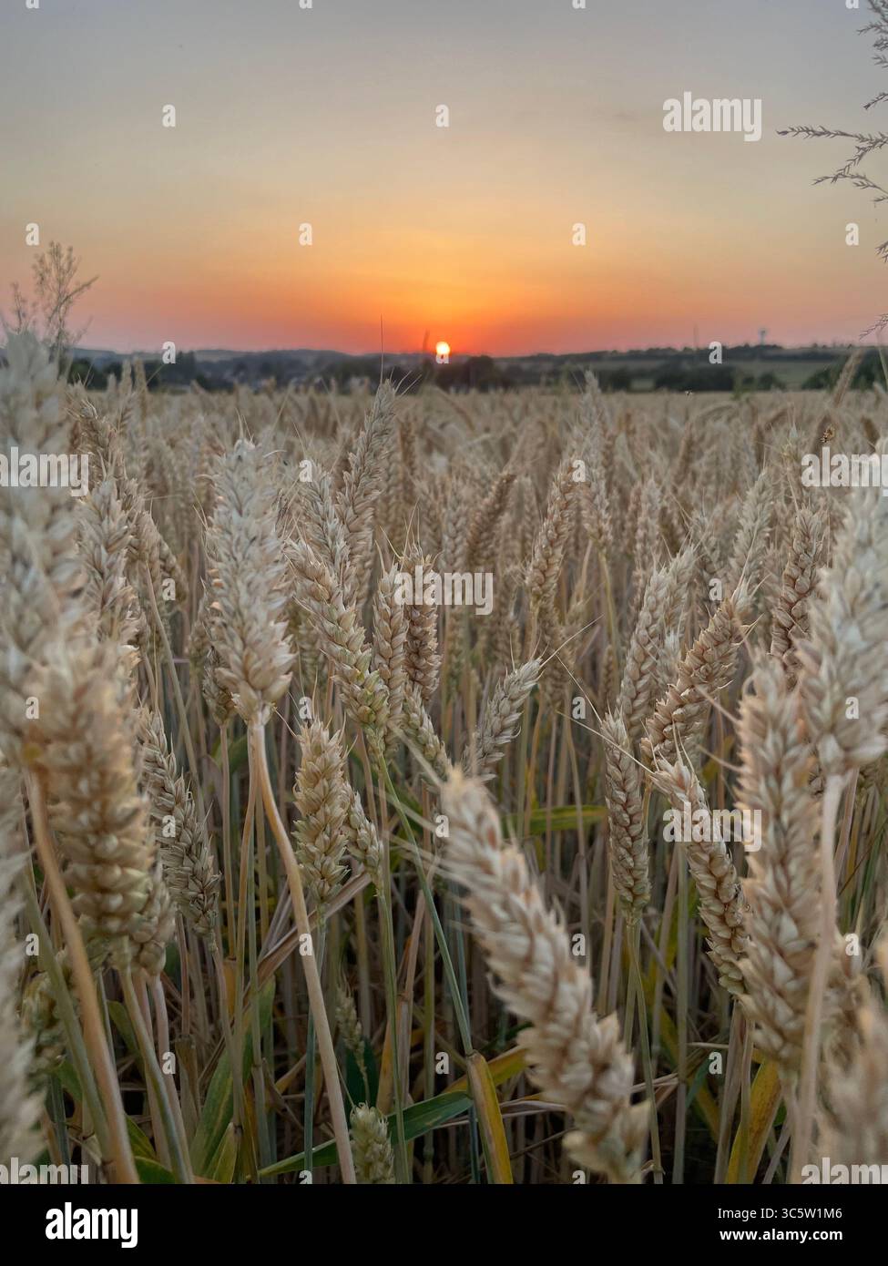 The sunsets with the nature from different situations - Smartphone Captured Stock Image