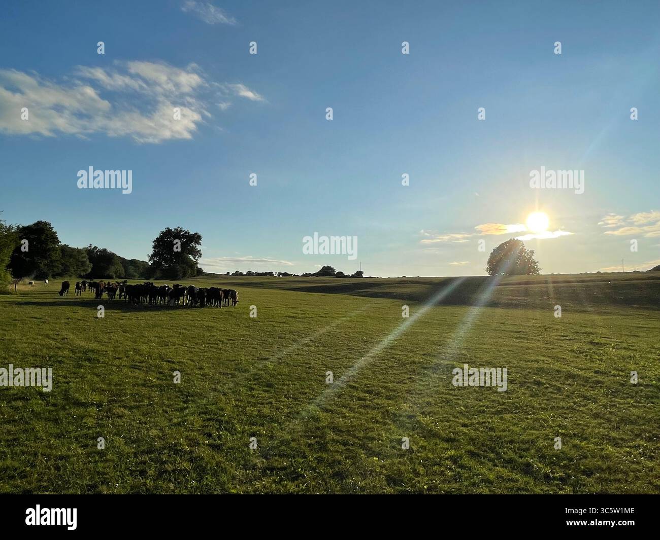 The sunsets with the nature from different situations - Smartphone Captured Stock Image