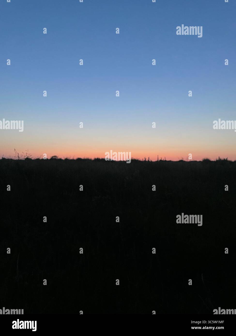 The sunsets with the nature from different situations - Smartphone Captured Stock Image